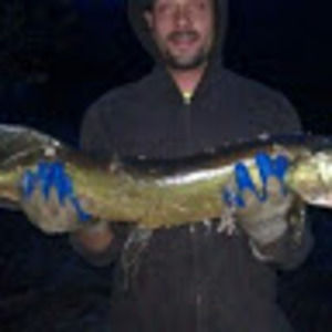 Meet your Posher, Chris